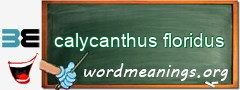 WordMeaning blackboard for calycanthus floridus